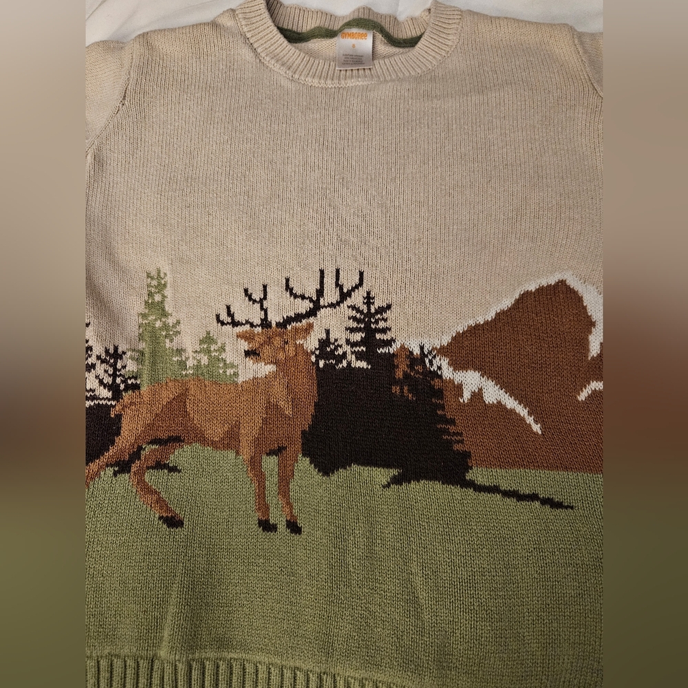 Gymboree Boys Sweater